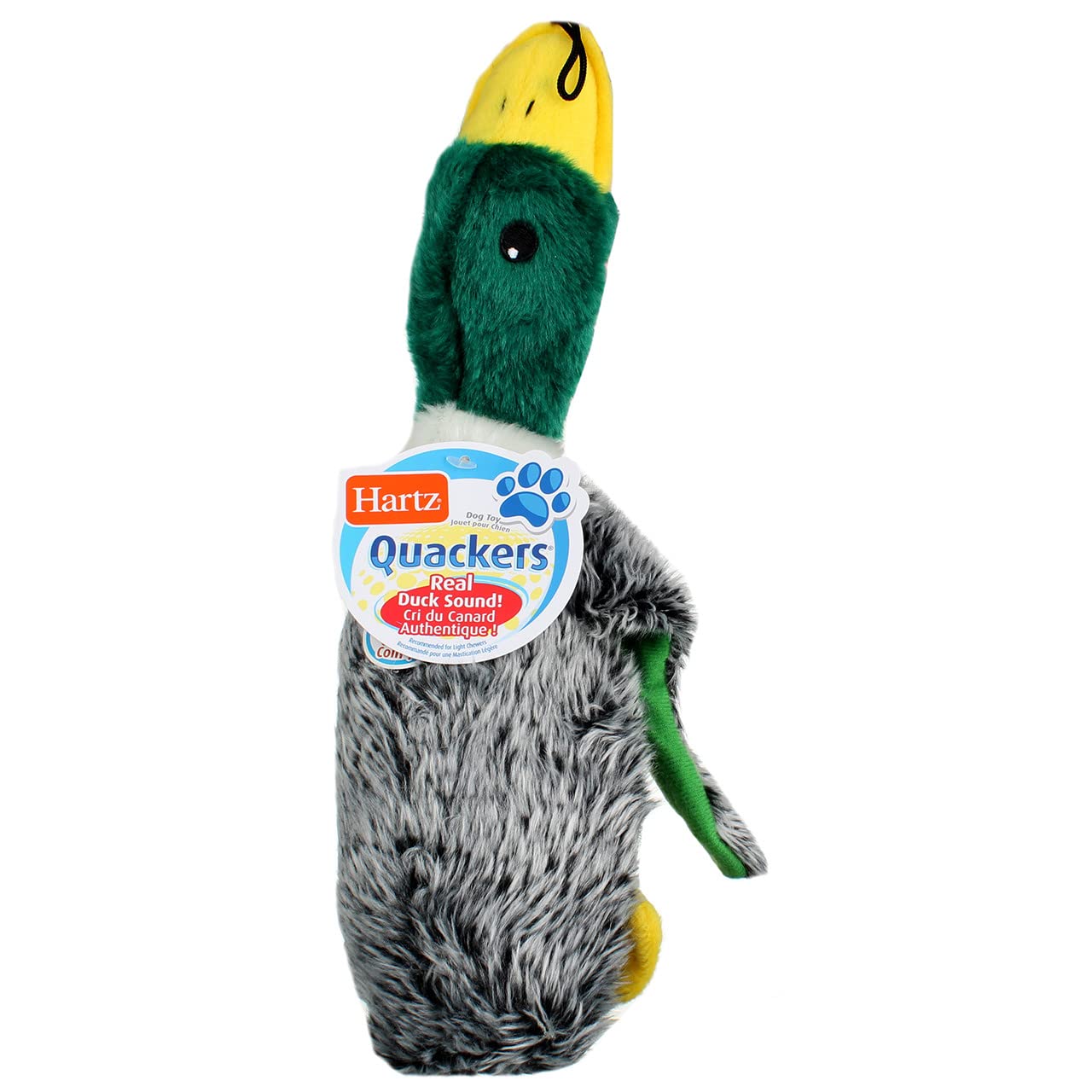 Hartz 05445 At Play Quackers Dog Toy Assorted Styles3