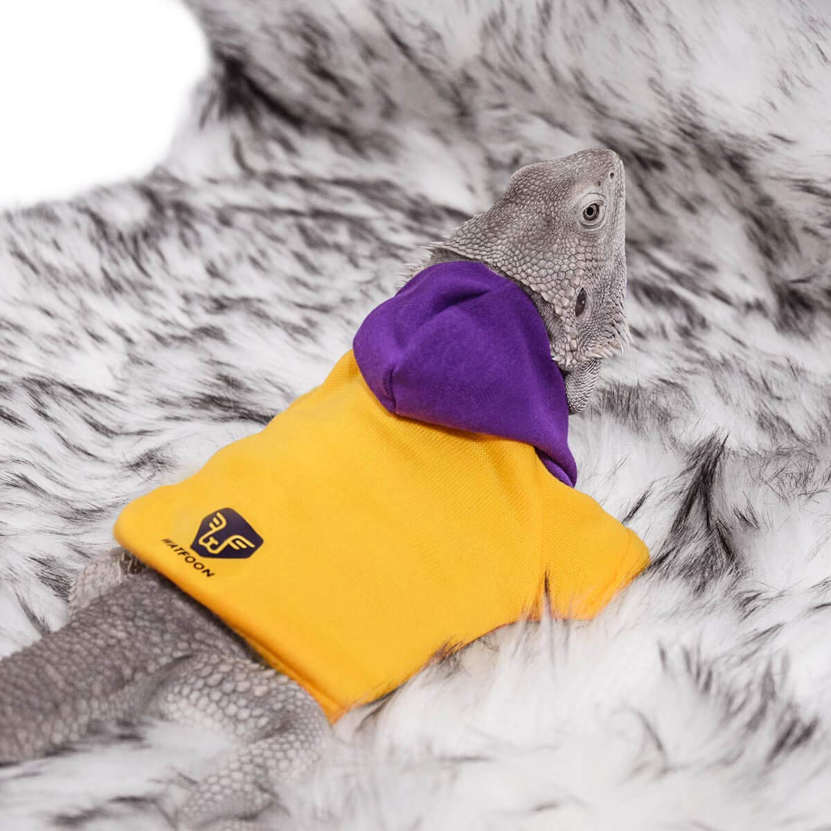 Watfoon Lizard Clothes Bearded Dragon Sweater Winter Hoodies Warm Coat Soft Touching For Leopard Reptile Gecko Anole Amphibians 
