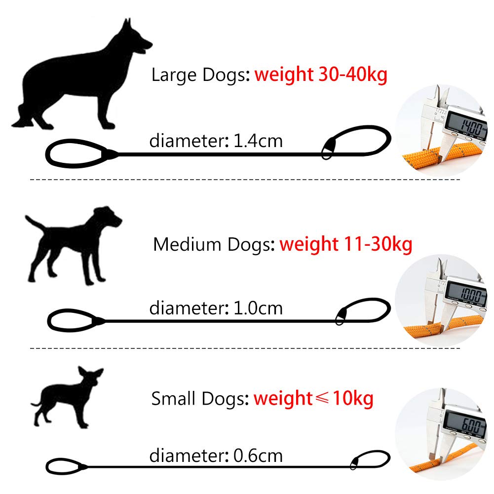 Grand Line Slip Lead Dog Leash, 5Ft Reflective Slip Rope, Puppy Training Walking Controlling Lead, Slip Collar Pet Leash For Small, Medium, Large Dogs (Orange, Medium-2/5In X 5Ft)