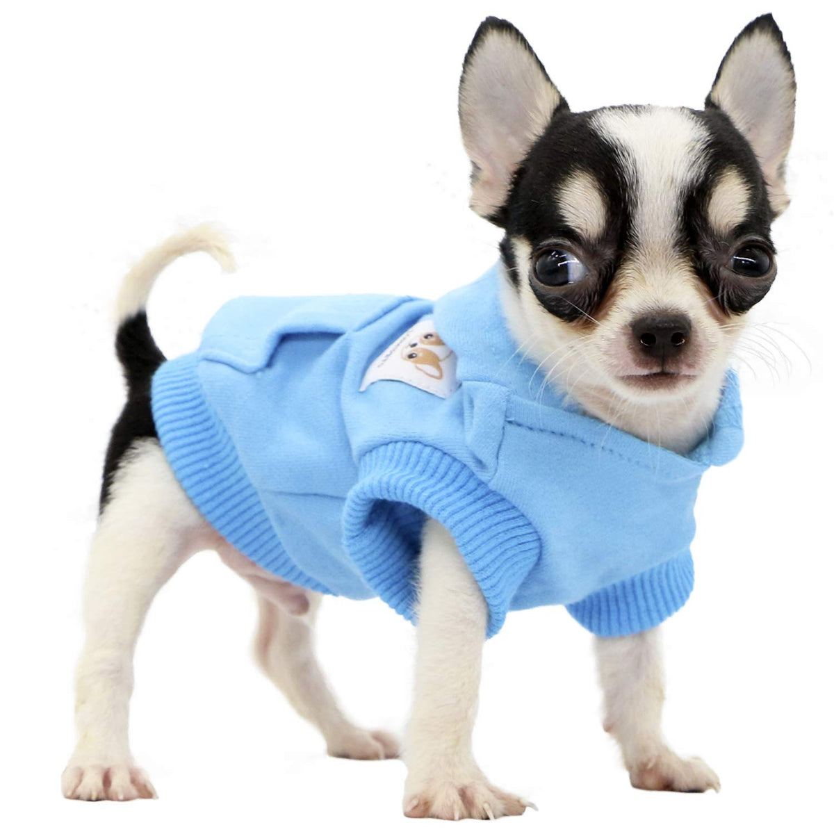 Lophipets Dog Cotton Hoodies Sweatshirts For Small Dogs Chihuahua Puppy Clothes Cold Weather Coat-Cambridge Blue/Xs