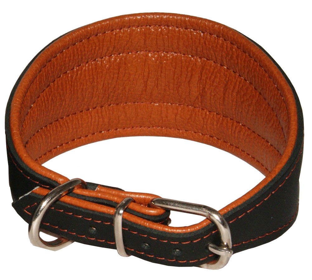 Real Leather Extra Wide Padded Tapered Dog Collar Glossy Black Greyhound Saluki Deerhound Lurcher Whippet Dachshund (14.25-17
