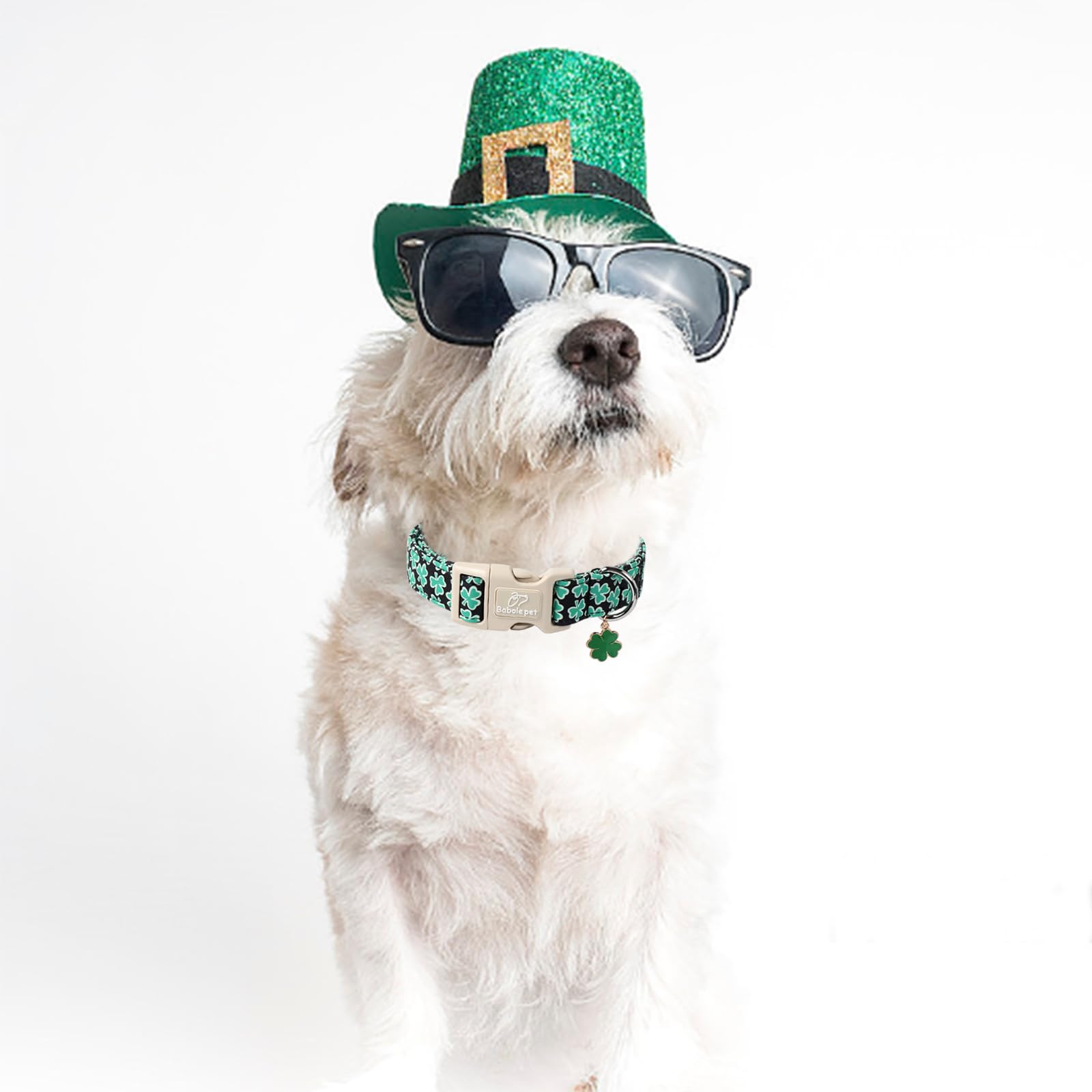 Babole Pet St Patricks Day Clover Dog Collar, Lucky Shamrock Dog Collars, Adjustable Cute Trefoil Dog Collar with Quick Release