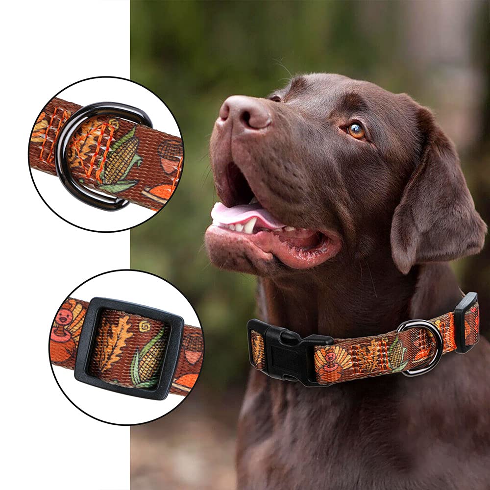 Rhea Rose Fall Halloween Thanksgiving Dog Collars Large Size