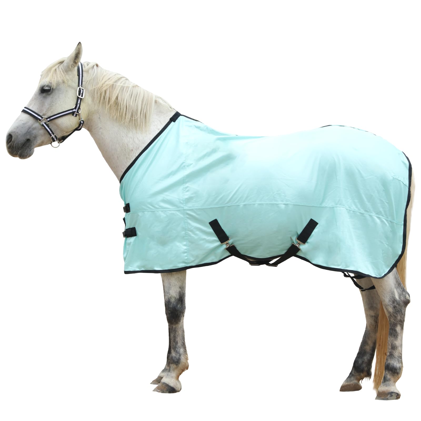 Gallopoff Horse Fly Sheet, Standard Neck Comfy Mesh Fly Sheet For Horses, Equine Summer Sheets Uv-Protective Green 81