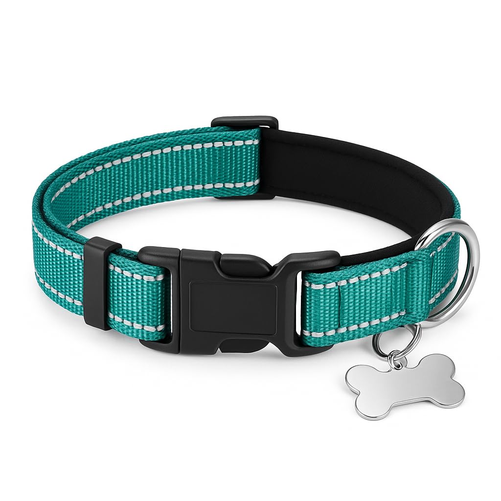 Teceum Reflective Dog Collar - Aquamarine - M - Extra Soft Padding - Basic Nylon Pet Collar - Quick Release Buckle - Fits Small,