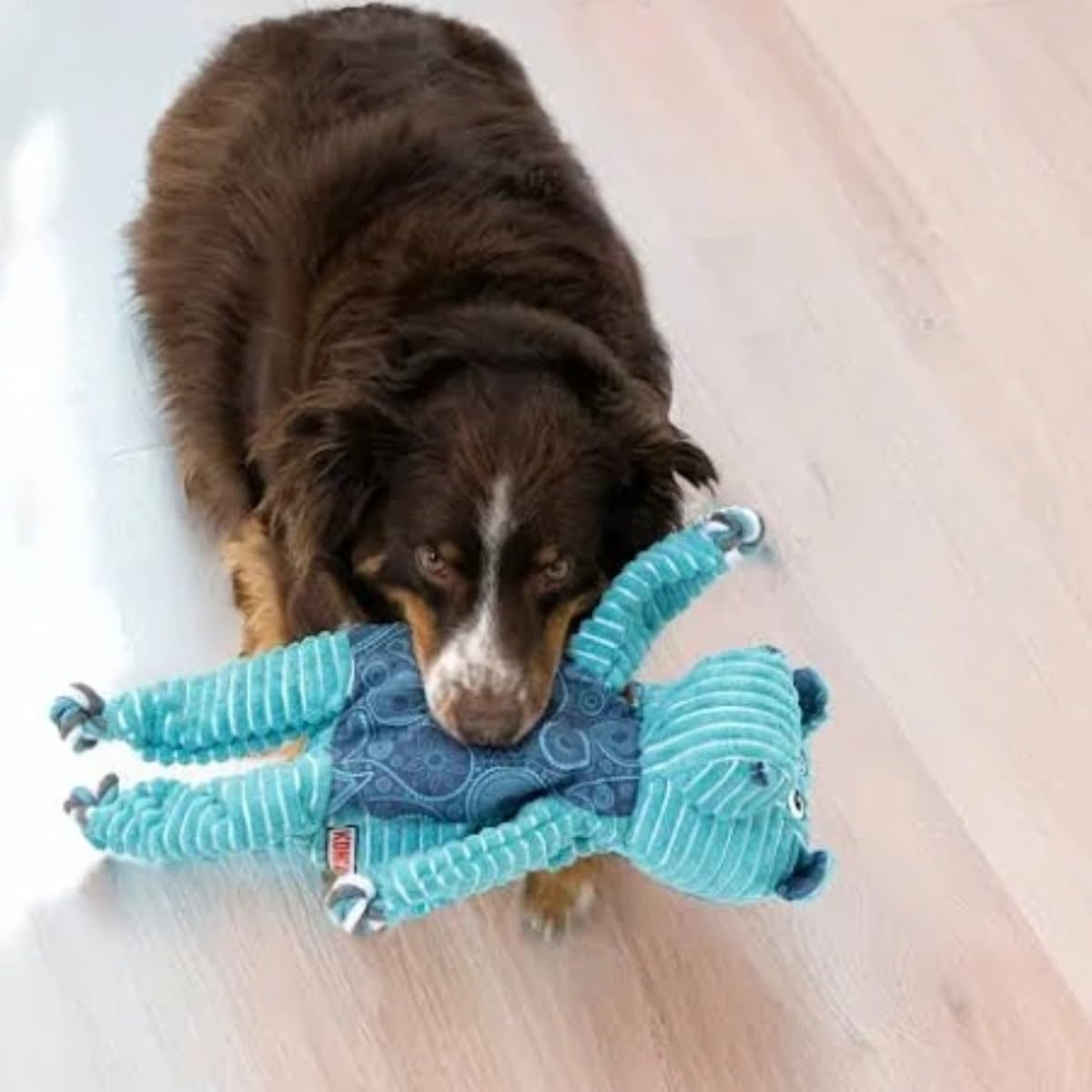 KONG Floppy Knots - Durable No-Stuffing Squeaky Rope & Plush Dog Toy - for Teething, Playing (Hippo, Extra Large)