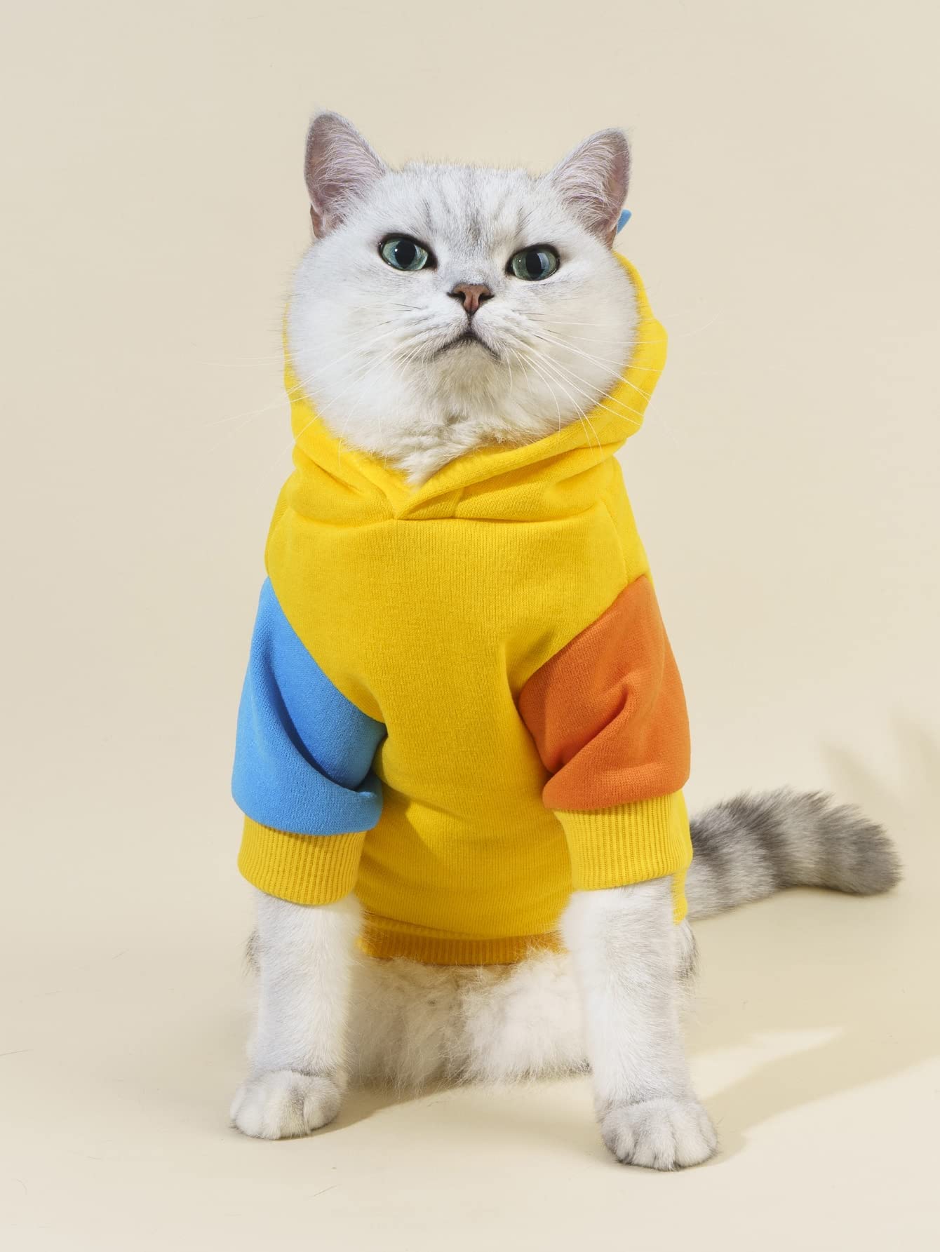 Qwinee Dinosaur Dog Hoodie Dog Warm Jacket Christmas Halloween Dog Costume Dog Clothes For Puppy Kitten Small Medium Dogs Cats Blue And Yellow Xs