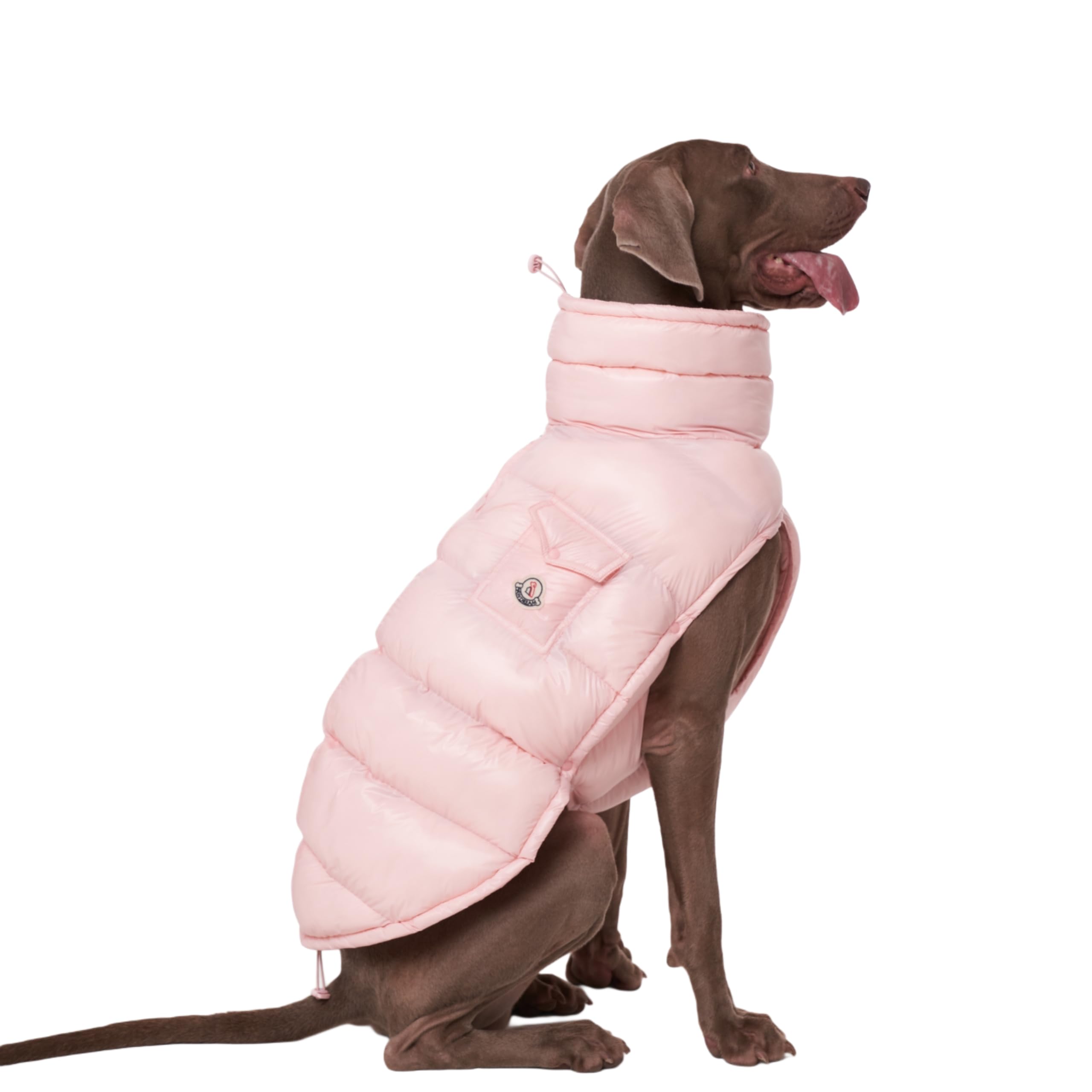 Chochocho Winter Jacket, Cold Weather Coats, Lightweight, Thermal Insulated, Water-Resistant, Adjustable Dogs Jackets With Leash
