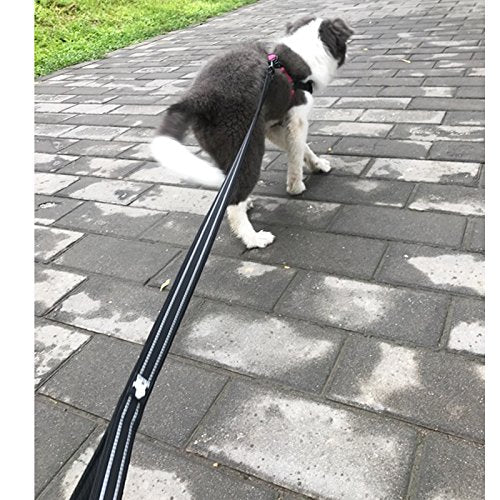 Creation Core Reflective Dog Leash Durable Padded Pet Leash Strap For Puppy Pet Leash Rope, Black 3.6Ft Long 0.8' Wide