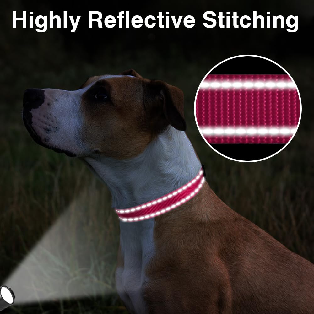 Taglory Reflective Adjustable Dog Collars For Puppy Small Medium Large Dogs, Thin Nylon Webbing And Quick Release Plastic Buckle(Hot Pink Medium)