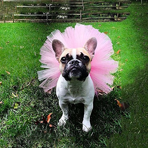 Pink Pet Puppy Small Dog Lace Skirt Princess Tutu Dress Clothes Apparel Pet Costumes Dog Dresses Pet Apparel And Accessories