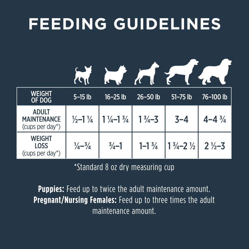 Instinct Raw Boost, Natural Dry Dog Food with Freeze Dried Pieces, High Protein, Whole Grain Recipe - Real Lamb & Oatmeal, 4.5 l