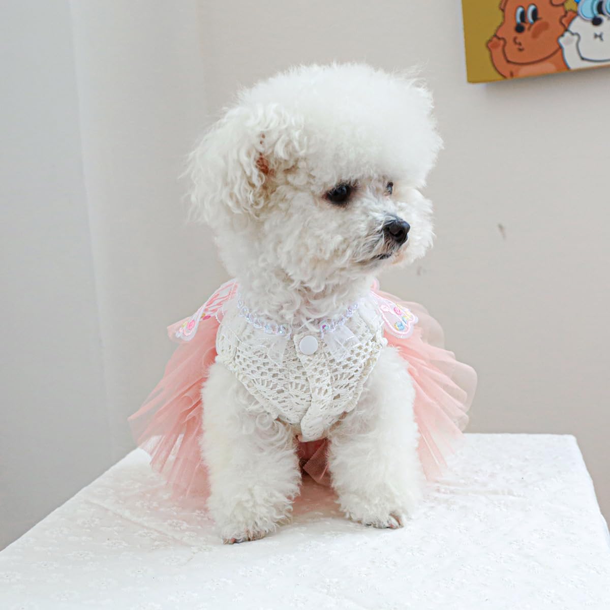 Marupet Fashion Sweet Puppy Dog Blingbling Princess Skirt Pet Dog Lace Cake Camisole Tutu Dress B-Pink Xs