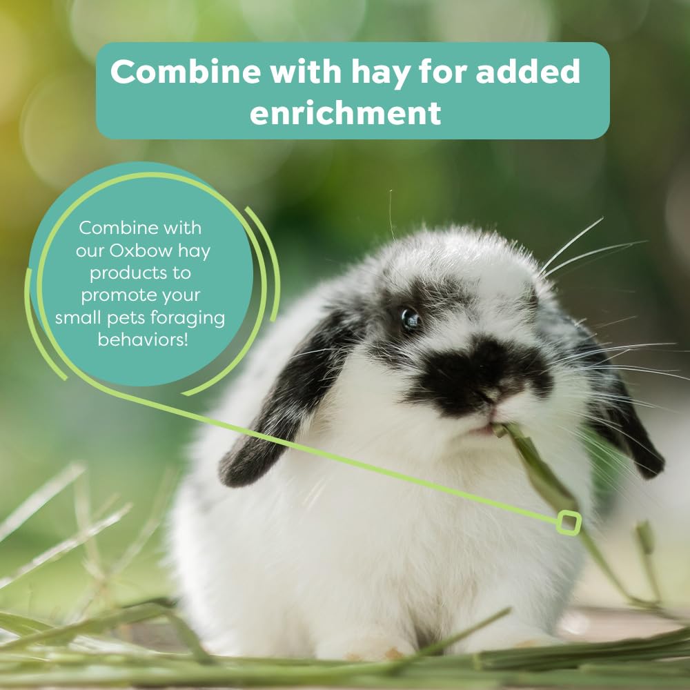 Oxbow Hay Toppers Garden Blend, Bunny Treats, Foraging Enrichment for Rabbits, Chinchillas, Guinea Pigs, and Other Small Herbivo