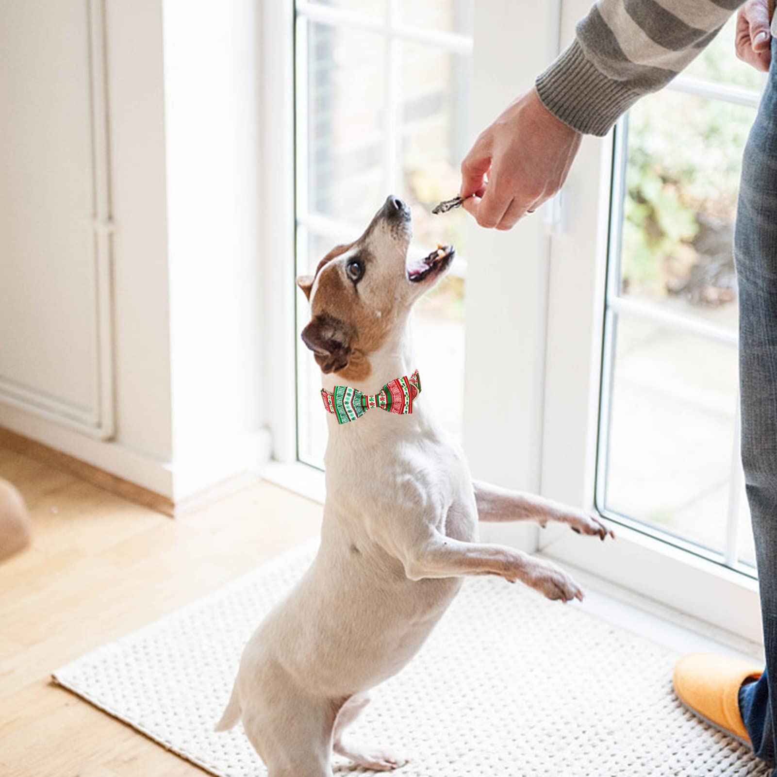Mr. Chubbyface Christmas Plaid Dog Collar For Boy Girl Dogs Adjustable Red Green Dog Collar Bowtie For Small Medium Large Dogs