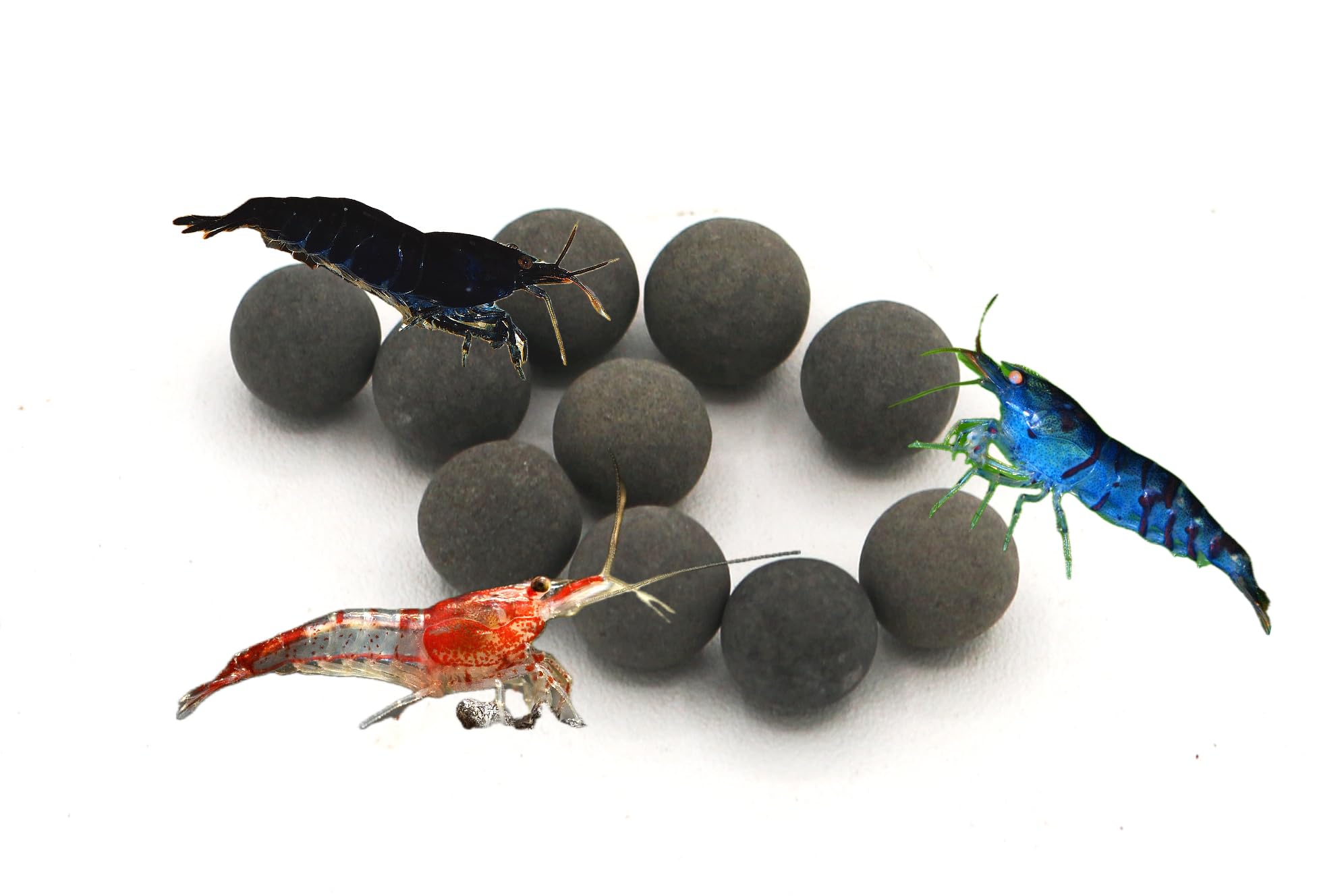 Awesome Industries Shrimp Tourmaline Balls with Calcium & Over 30 Elements That Improve Health, Color, Shedding, Breeding & Surv