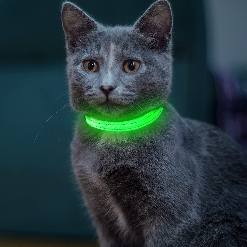 Light Up Dog Collar For Small Dog,Vizpet Xs Adjustable Size Nylon Collar Usb Rechargeable Bright Safety Pet Collar For Cats Dogs (Green)
