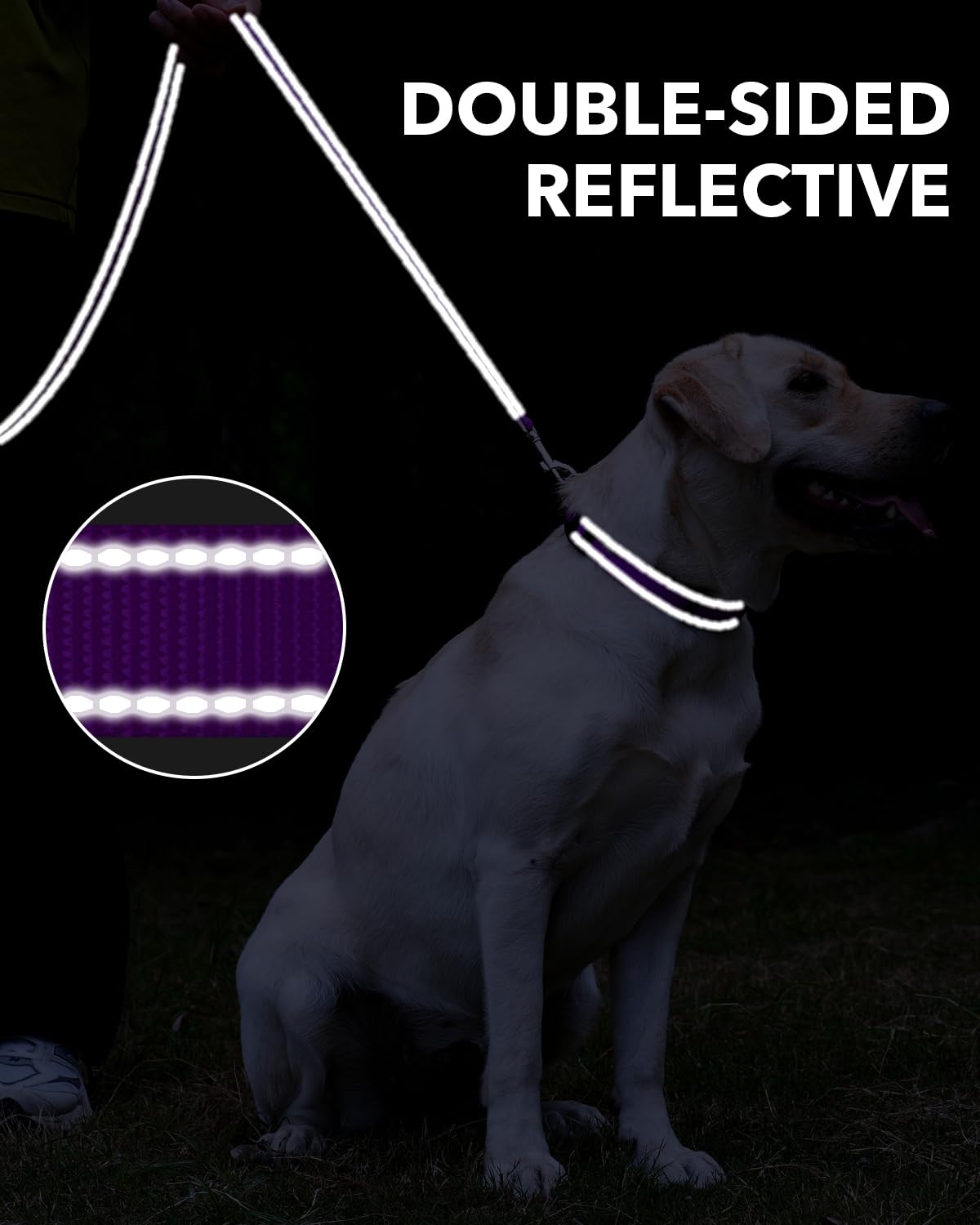 Taglory Dog Leash For Medium Large Dogs, Double-Sided Reflective Leash With Soft Neoprene Padded Handle, 1 Inch By 6 Ft, Fit Med