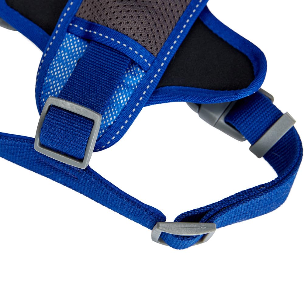 Blueberry Pet Soft & Comfy 3M Reflective Dog Harness Vest | Mesh Padded No Pull | Multi-Colored Stripe - Blue | Adjustable For L