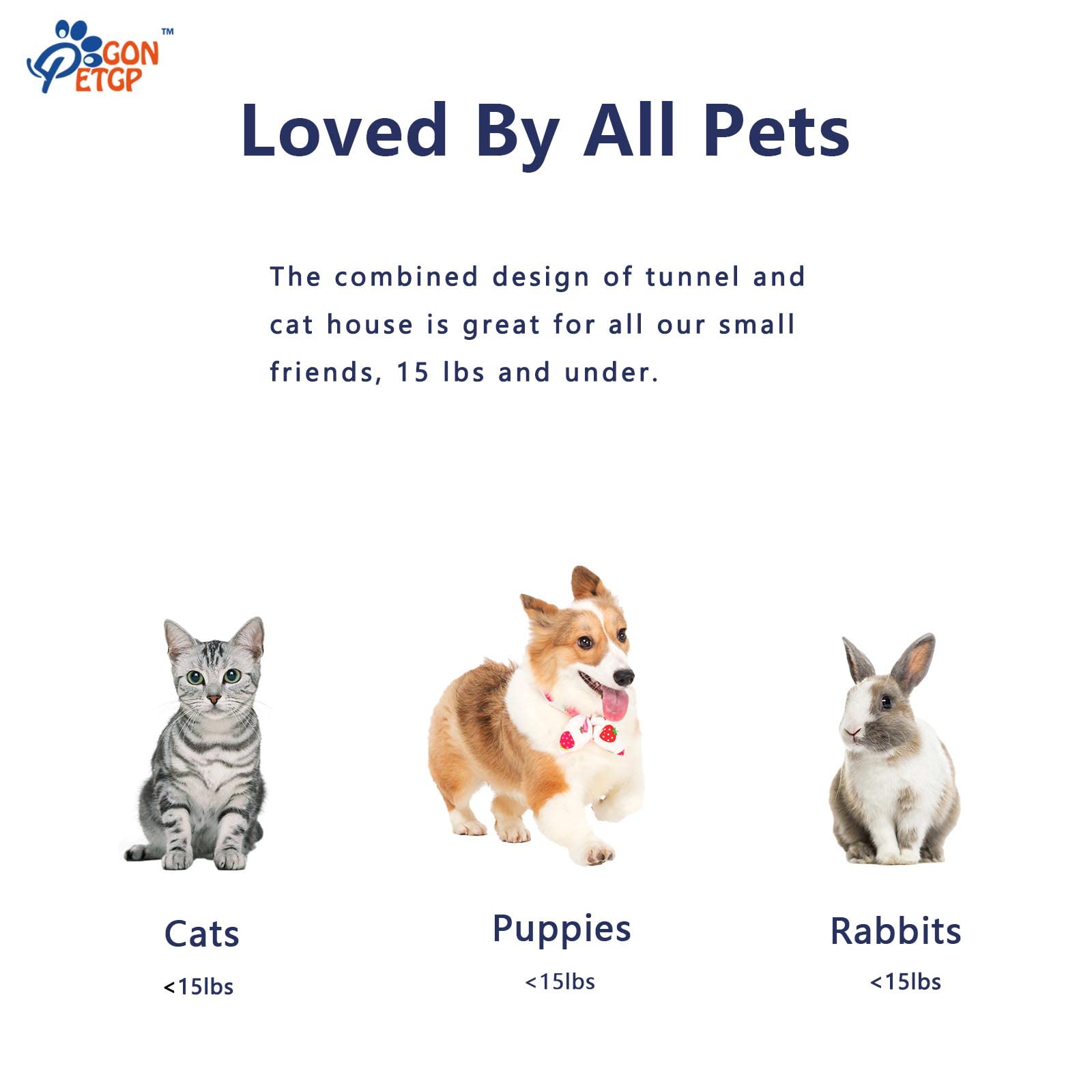 Gonpetgp Cat Tunnel Toy And Cubes Combo, Cat Tunnels For Indoor Cats With Play Ball, Interactive Crinkle Collapsible Tent And Cubes, Cat Tube For Puppy Pet Rabbit - All In One Set Of 3