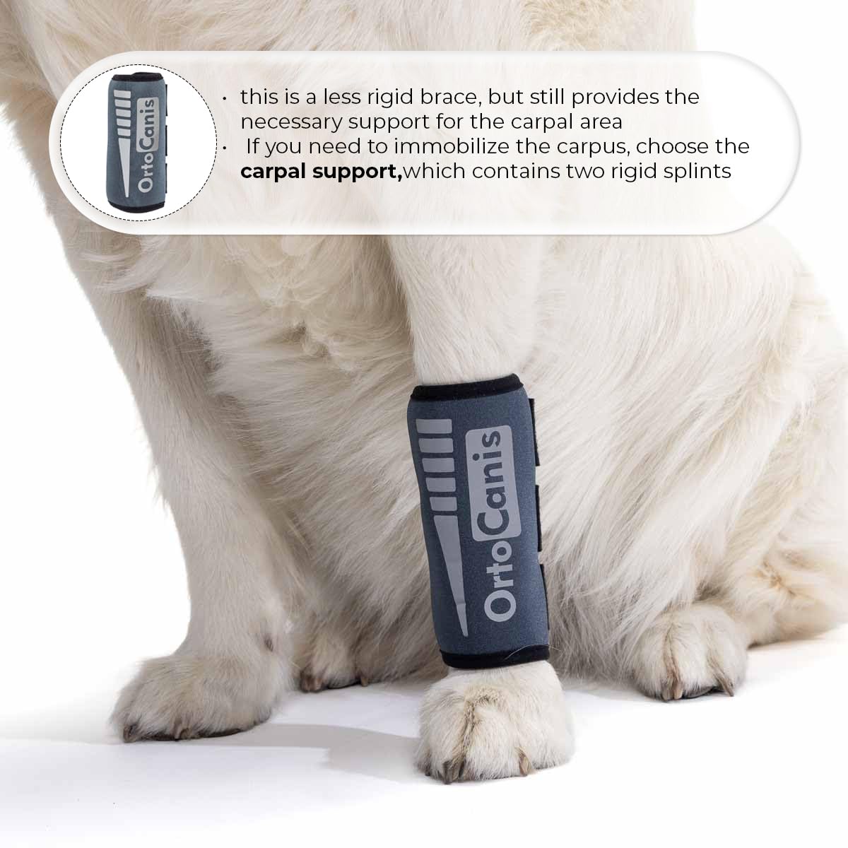 Ortocanis - Carpal Brace for Dogs with Arthrosis, Ligament or Tendon Injuries, or Agility Dogs, Size XXS