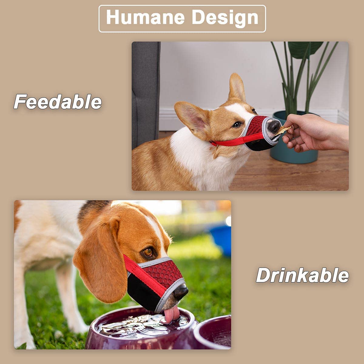 Mayerzon Dog Muzzle, Soft Muzzle For Small Medium Dogs Dachshund Corgi Poodle, Adjustable Reflective Muzzles For Biting Chewing And Grooming, Breathable Mesh