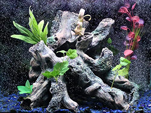 Penn-Plax Extra Large Driftwood With Flowering Plants Decoration For Large Fish Tanks Or Reptile Terrariums - Hideouts And Swim-Throughs For All Your Small Pets - Dgsp1