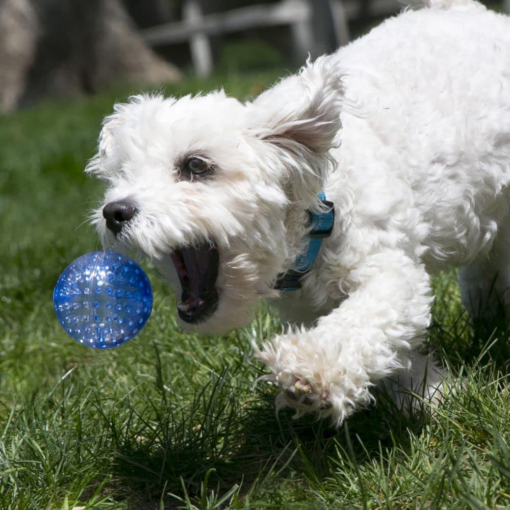 KONG Squeezz Geodz Squeaker Ball Dog Toy - Large, Multi-Color, Durable Wood Material, Model 38749422