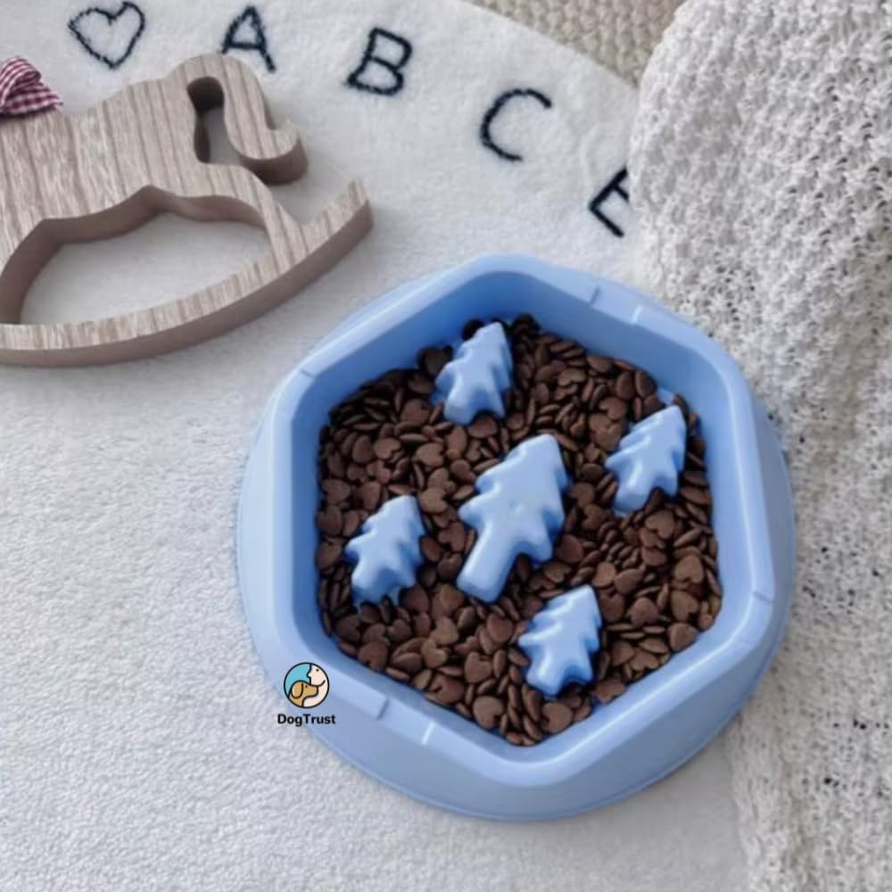 Dog Trust Slow Feeder Dog Food Bowl  Interactive Maze Design Prevents Fast Eating, Supports Healthy Digestion & Encourages Mind