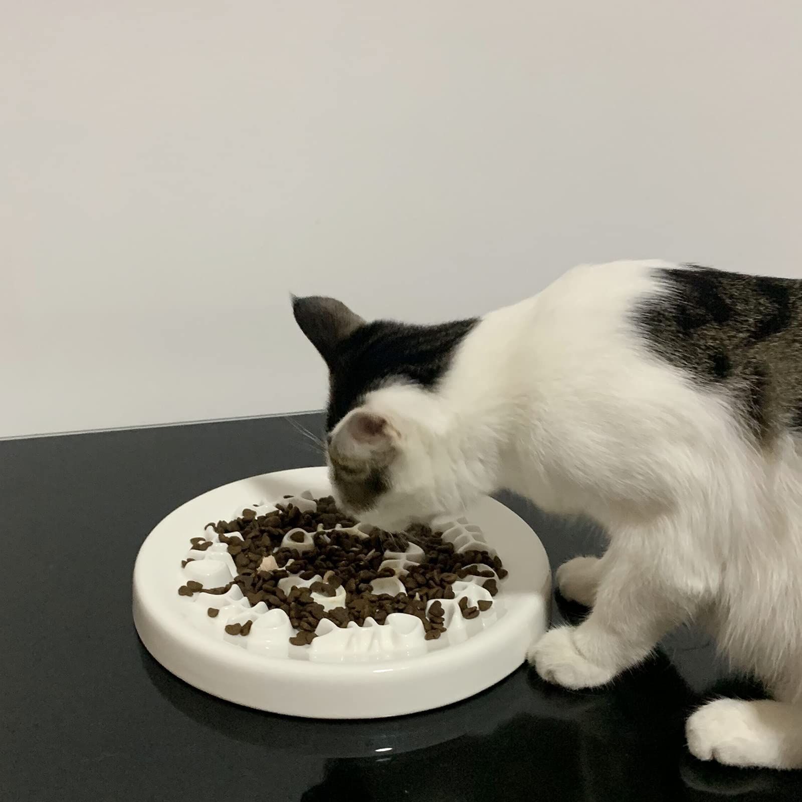 Lorde Slow Feeder Cat Bowls, Ceramic Fun Cat Slow Bowl Interactive Bloat Stop Puzzle Slow Feeder Healthy Eating Diet Pet Dog Slow Feeding Bowls…