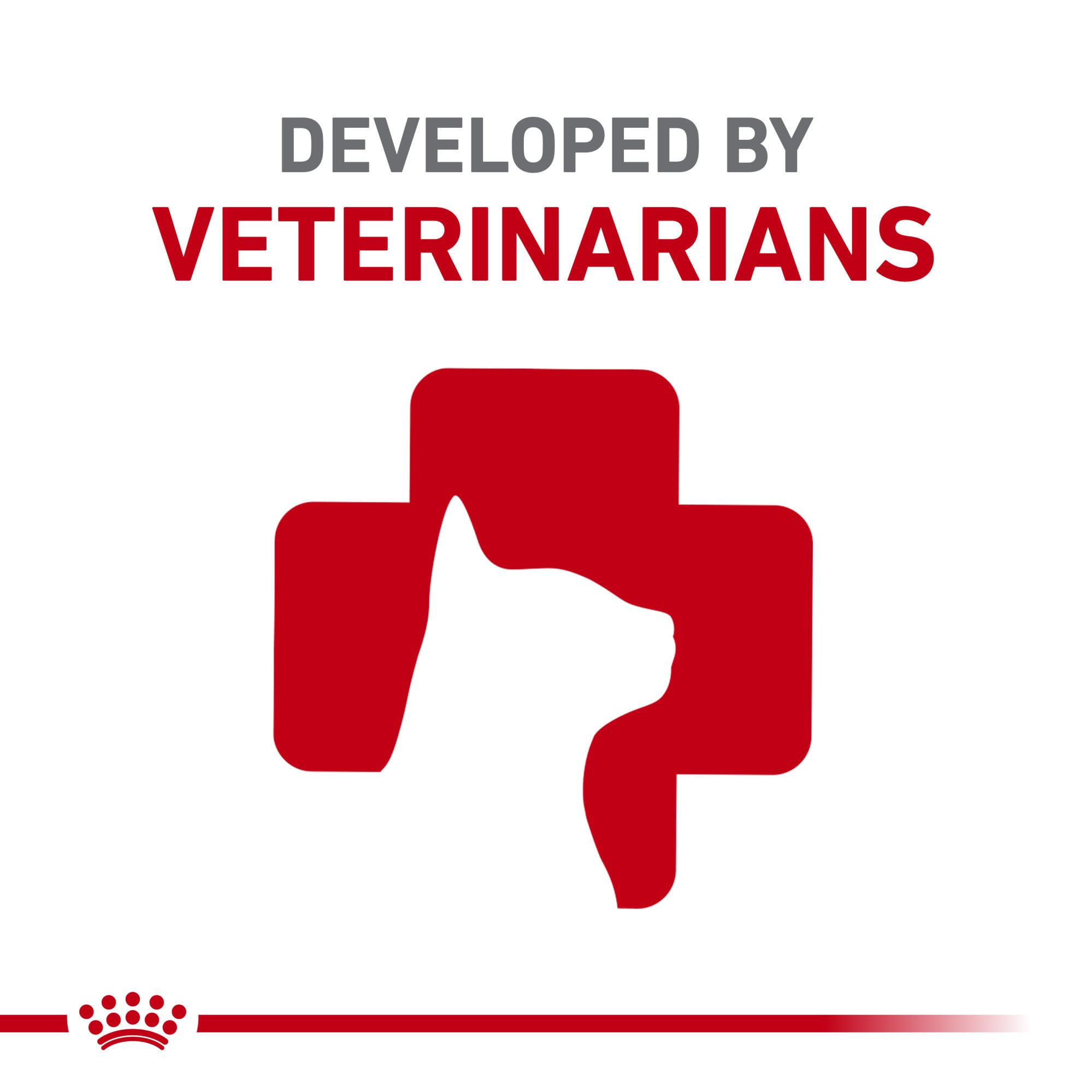 Royal Canin Feline Health Nutrition Indoor Adult & Adult Instinctive Thin Slices in Gravy and Morsels in Gravy Variety Pack Cat