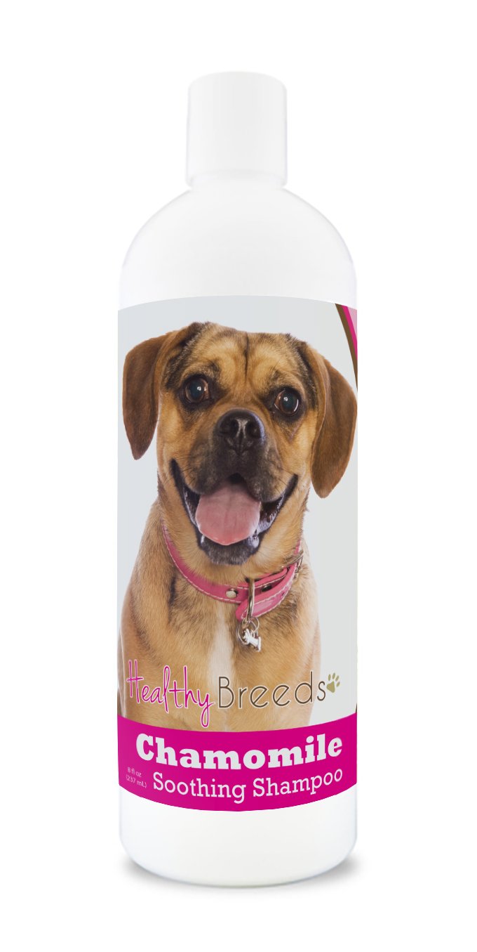 Healthy Breeds Puggle Chamomile Soothing Dog Shampoo 8 oz