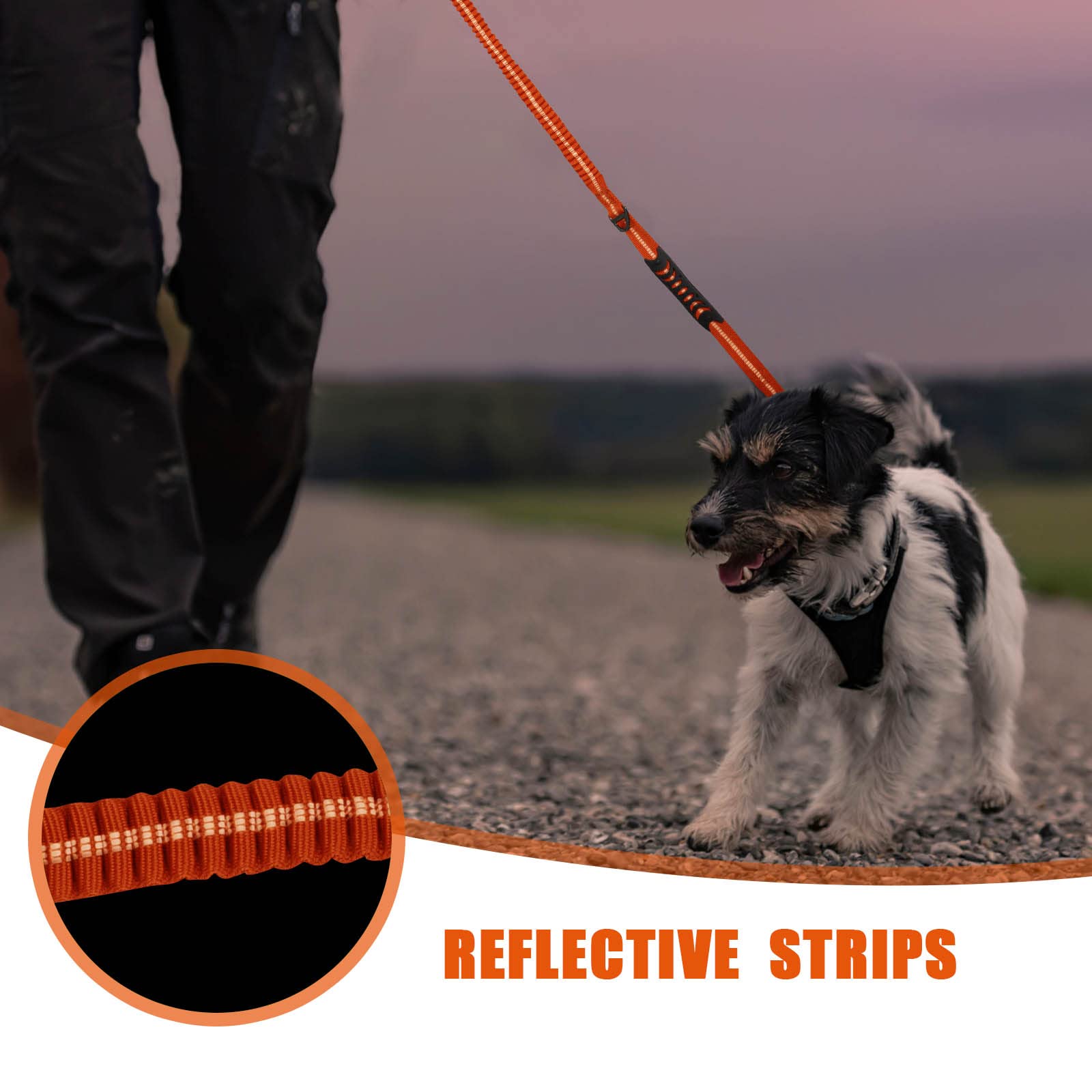 Raipult Heavy Duty Frog Clip Dog Leash, 4-6Ft Strong Bungee Training Leash With 2 Handles, Highly Reflective Shock Absorbing Ela