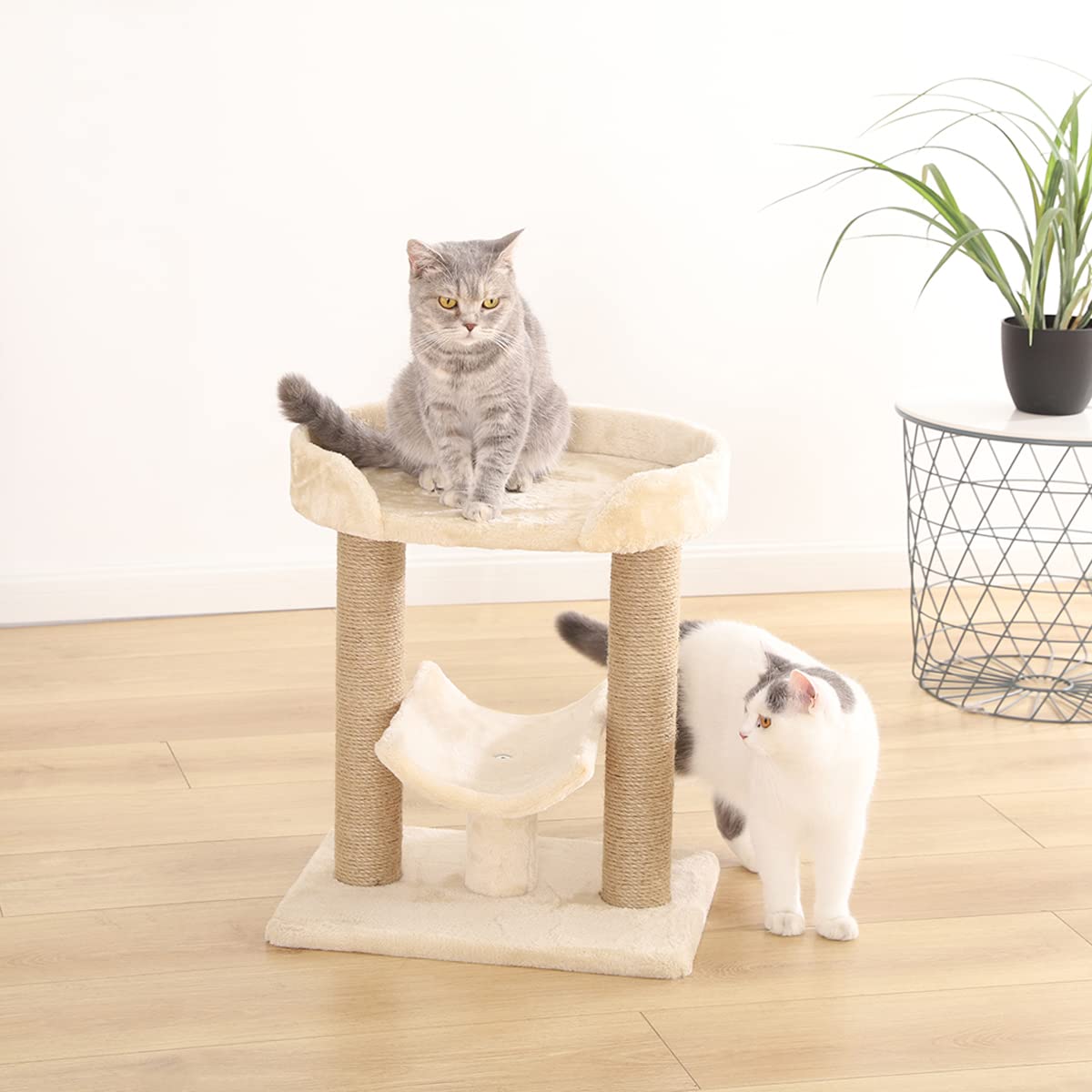 Amazon Basics Top Platform Cat Tree With Scratching Post - 18 X 14 X 22 Inches, Indoor, Beige