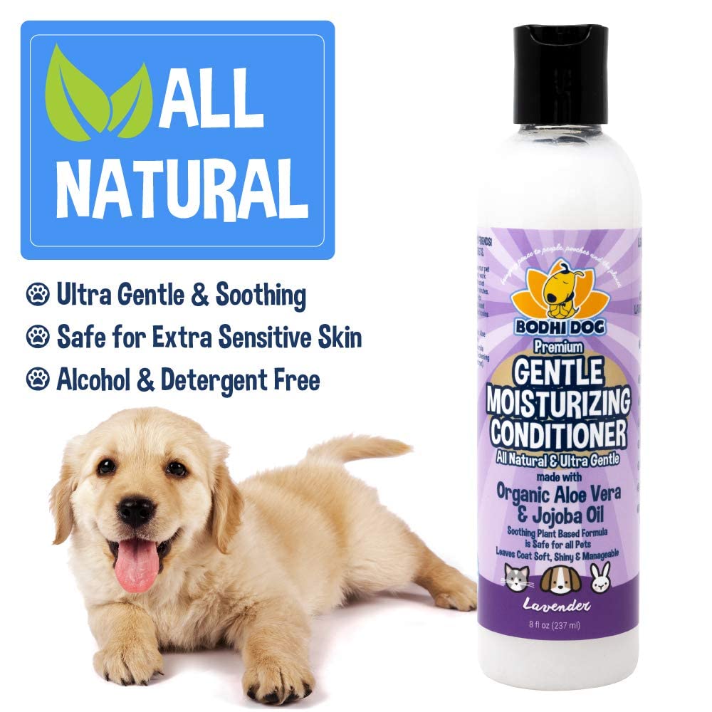 Bodhi Dog Gentle Moisturizing Dog Conditioner - Soothing Plant-Based Formula with Aloe Vera & Jojoba Oil - Hydrates & Softens Co