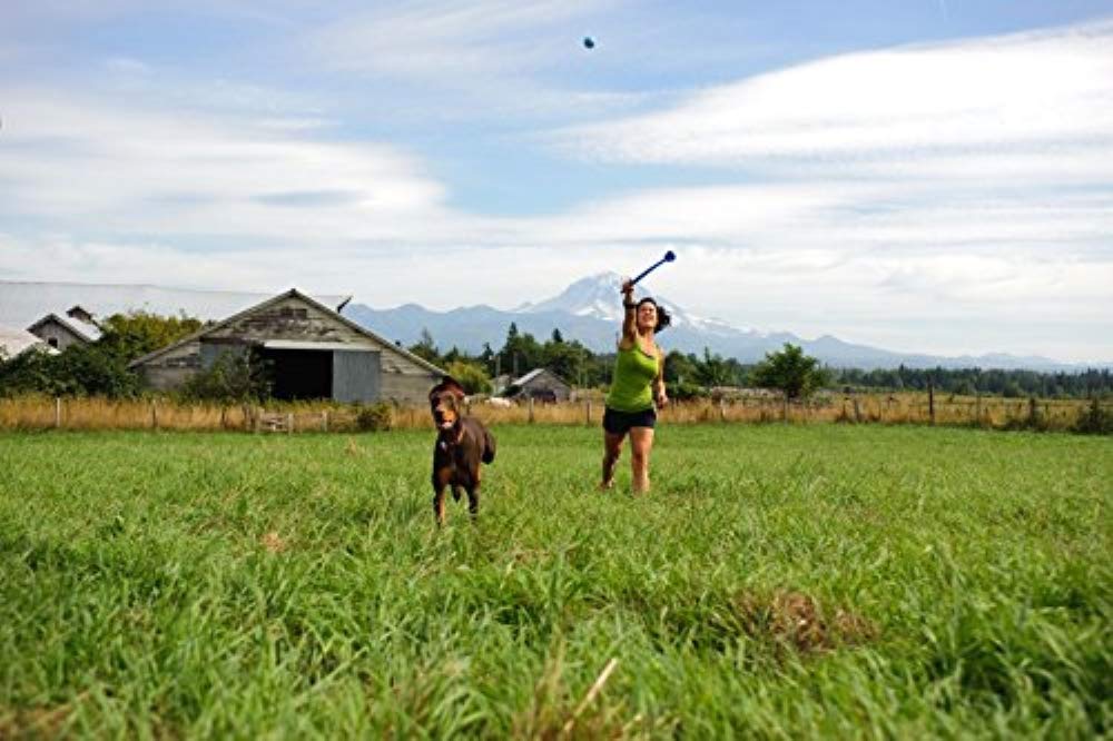 Chuckit! 2 Pack Of The Whistler Balls, Large, Dog Toys That Make Toys When Thrown