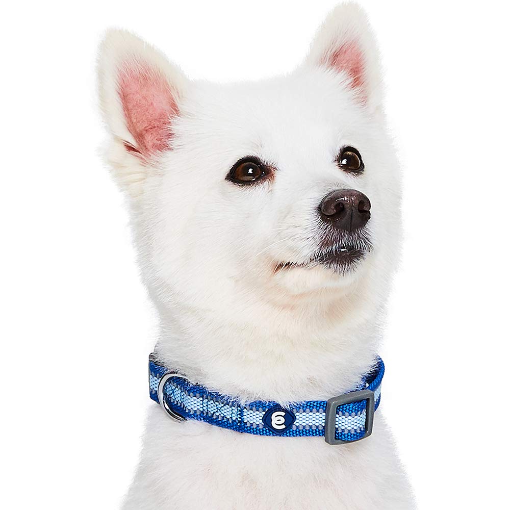 Blueberry Pet Essentials Reflective Back To Basics Adjustable Dog Collar, Navy Blue, Large, Neck 18'-26'