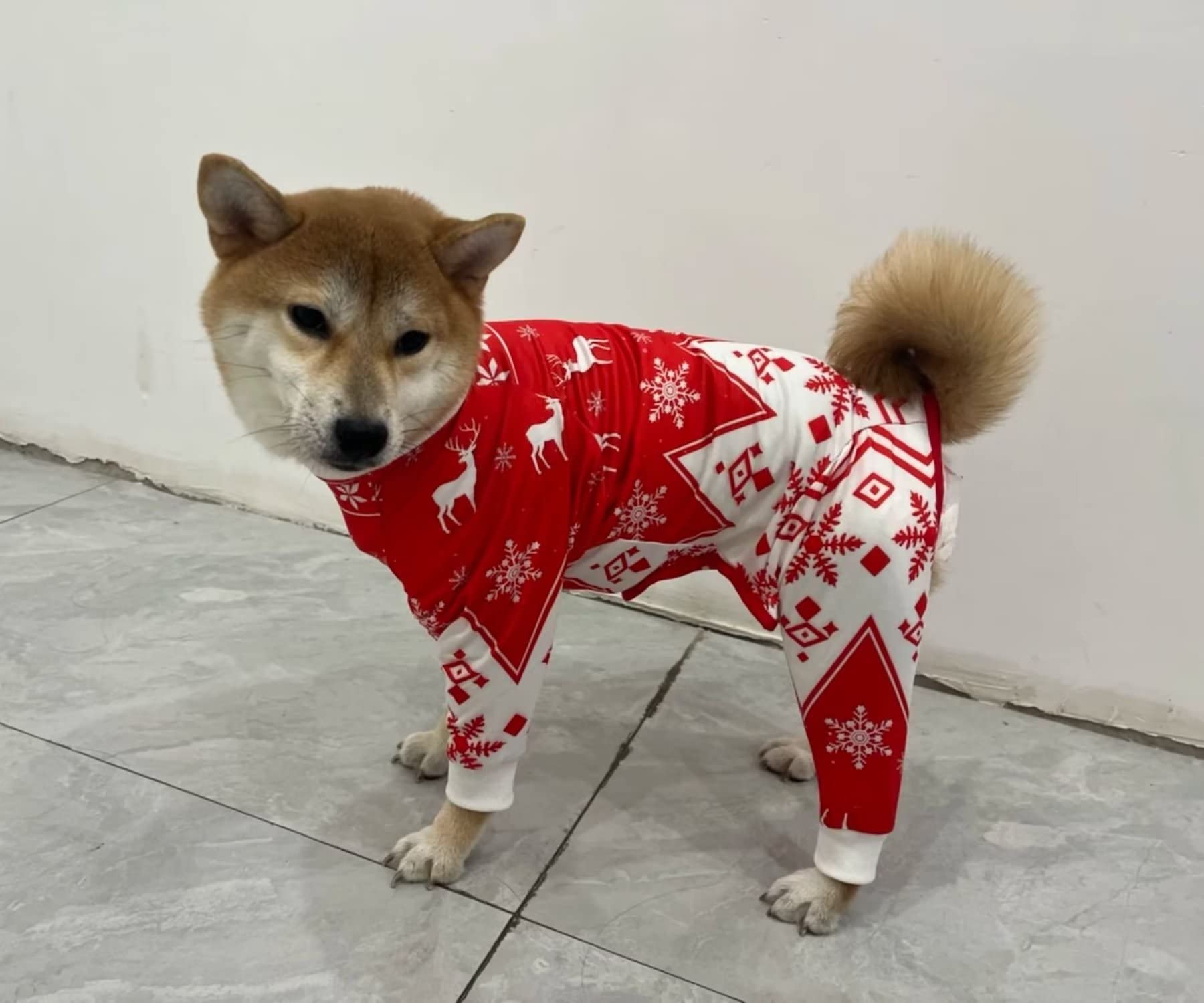 Xqpetlihai Christmas Dog Clothes Dog Onesie Surgery Recovery Suit Dog Pajamas for Large and Medium Dog (S,CH)