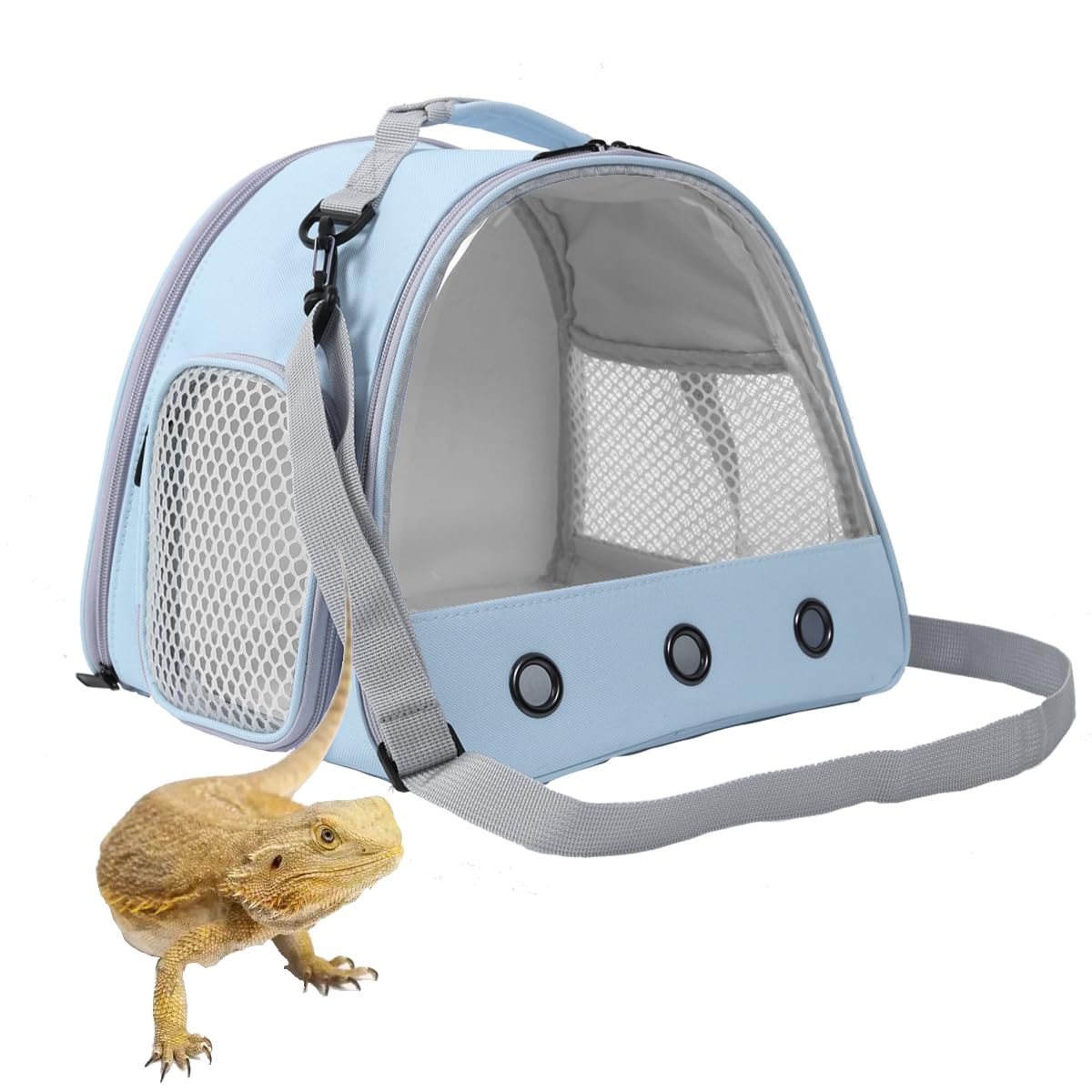 Bearded Dragon & Lizard Carrier - Portable Travel Carrier For Hedgehog, Rat, Parrot, Bird & Guinea Pig (Blue, 2)