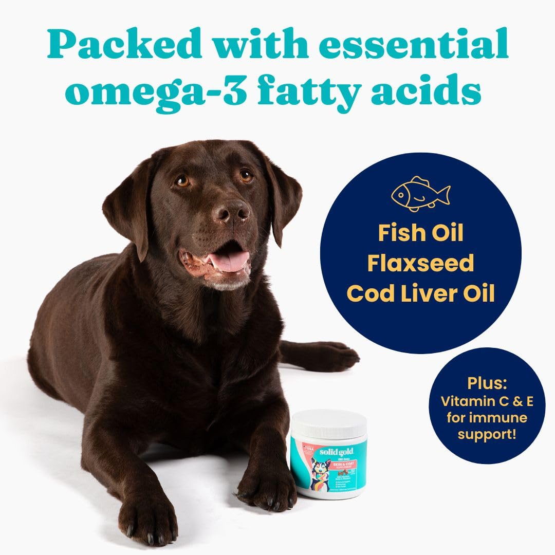 Solid Gold Omega 3 Fish Oil for Dogs Soft Chews - Chicken Flavored Omega 3 for Dog Skin & Coat Health - Vitamin C, E & Biotin Ch