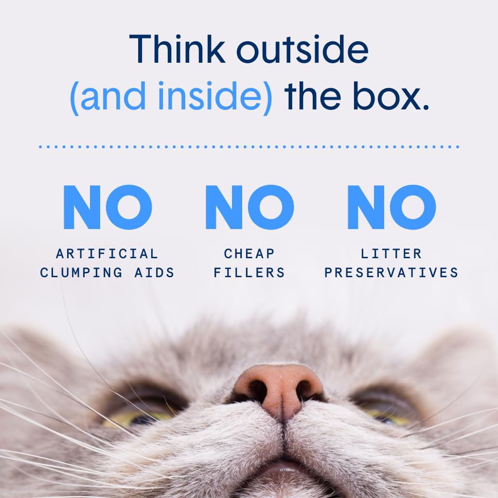 Boxie Probiotic Cat Litter, 40-Day Odor Control, Non-Clumping, Dust-Free, Crystal, 6lb, Multi-Cat