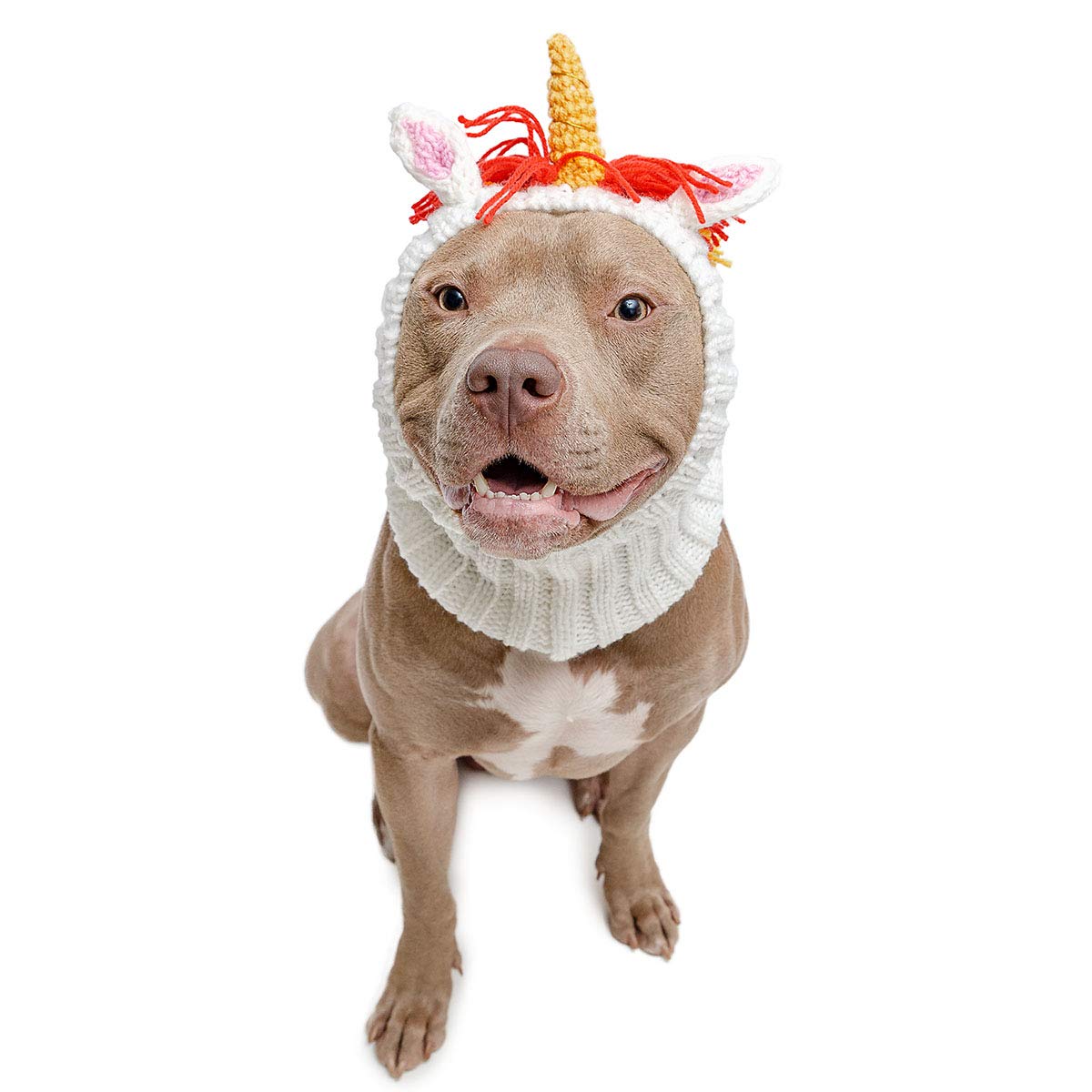Zoo Snoods Unicorn Costume for Dogs, Medium - Warm No Flap Ear Wrap Hood for Pets, Dog Outfit for Winters, Halloween, Christmas