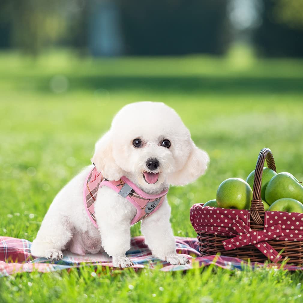 Expawlorer Dog Harness And Leash Set - Step In Dog Vest Harness No Pull With Bell Collar, Breathable Mesh Adjustable Puppy Small Dog Harness, Reflective Escape-Proof For Training Outdoor Walking