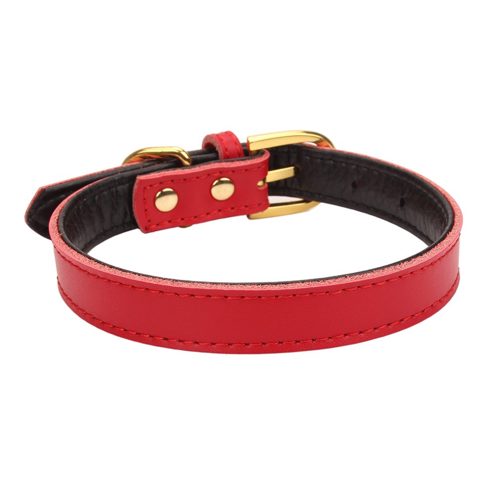 Aolove Basic Classic Padded Leather Pet Collars For Cats Puppy Small Medium Dogs (Red, Medium)