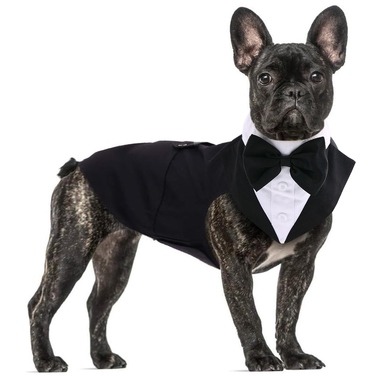 Qbleev Dog Tuxedo For Medium Dogs, Dog Suit And Bandana Set, Dog Wedding Outfit With Bow Tie, Formal Dog Tux Dog Costume Halloween Dog Christmas Outfit For Birthday Party Cosplay, Black M