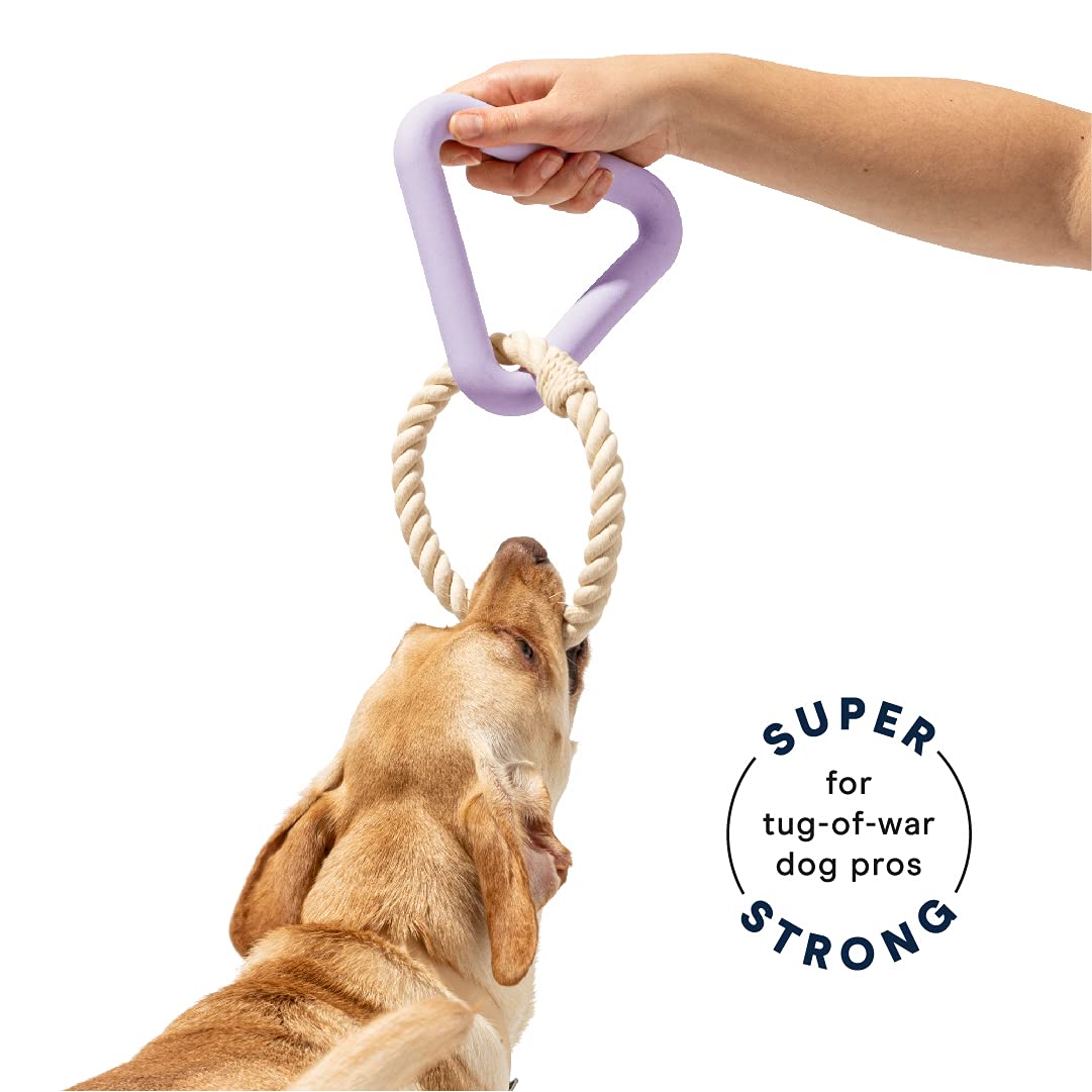 Wild One Triangle Tug Dog Toy For Small Breeds, Rope Toy, Durable Lilac