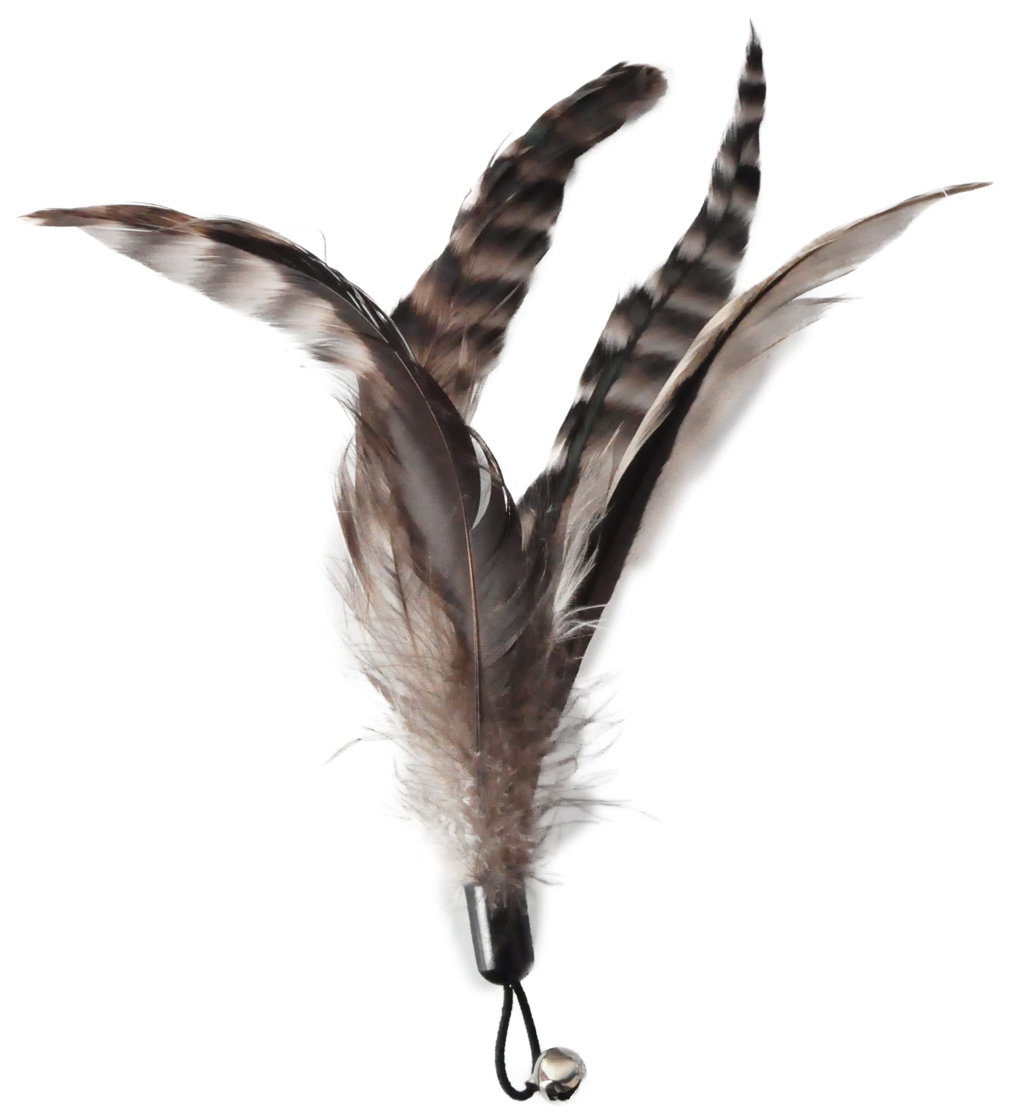 Ecocity Cat Toys - No Chemical Dyeing Cat Feather Toys For Indoor Cats - Include Cat Wand And Natural Feather Refills