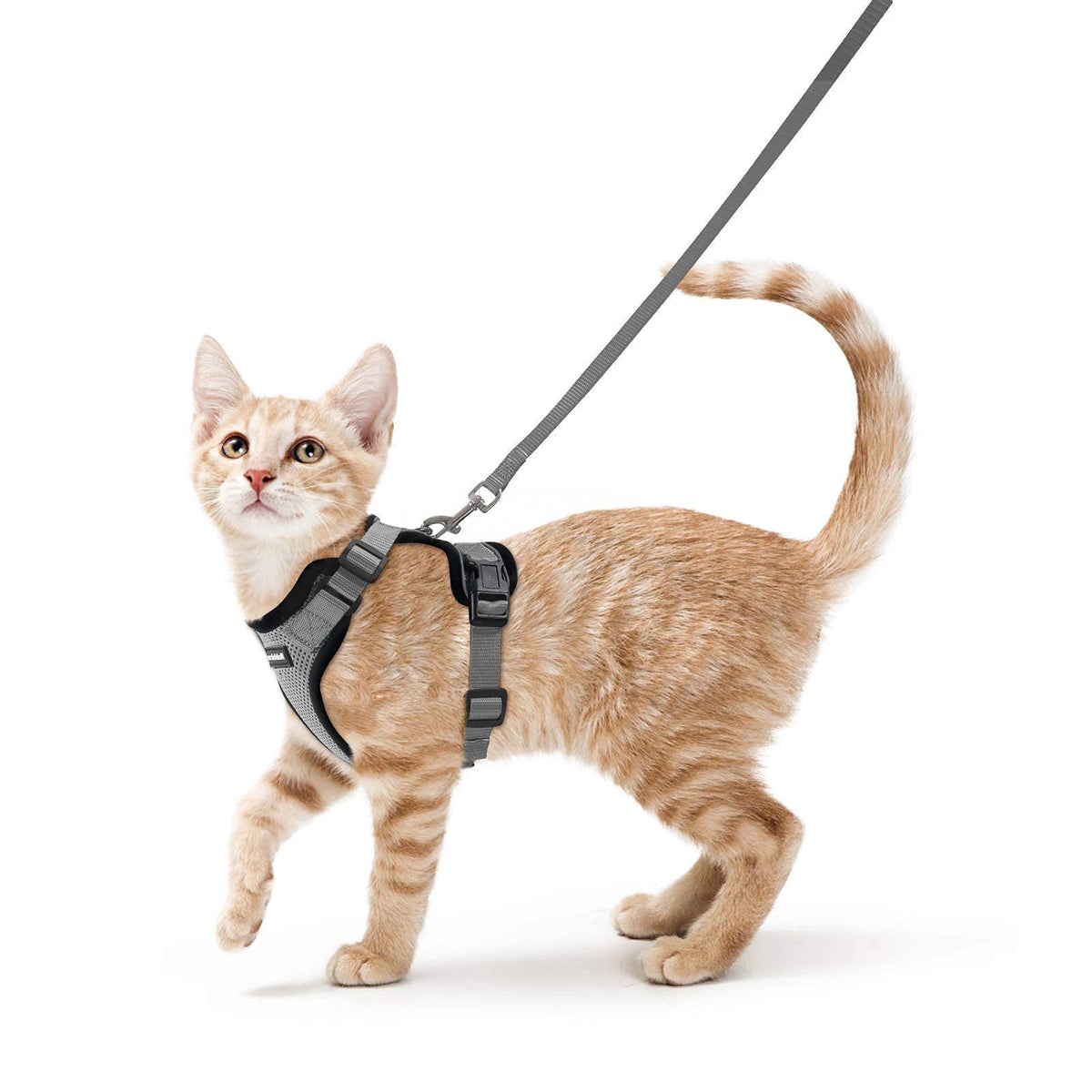 Rabbitgoo Cat Harness And Leash For Walking, Escape Proof Soft Adjustable Vest Harnesses For Cats, Easy Control Breathable Reflective Strips Jacket, Grey, S