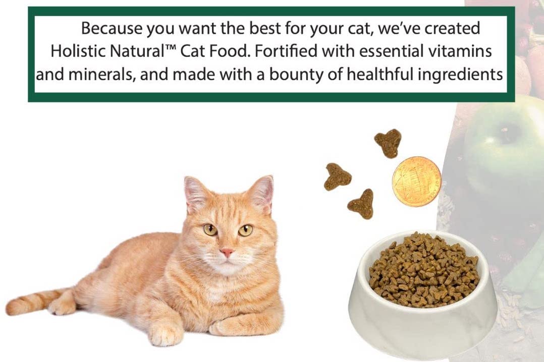 Bench & Field Holistic Natural Premium Adult Dry Cat Food, Chicken Meal and Brown Rice Recipe 3 lb Bag (Pack of 1)