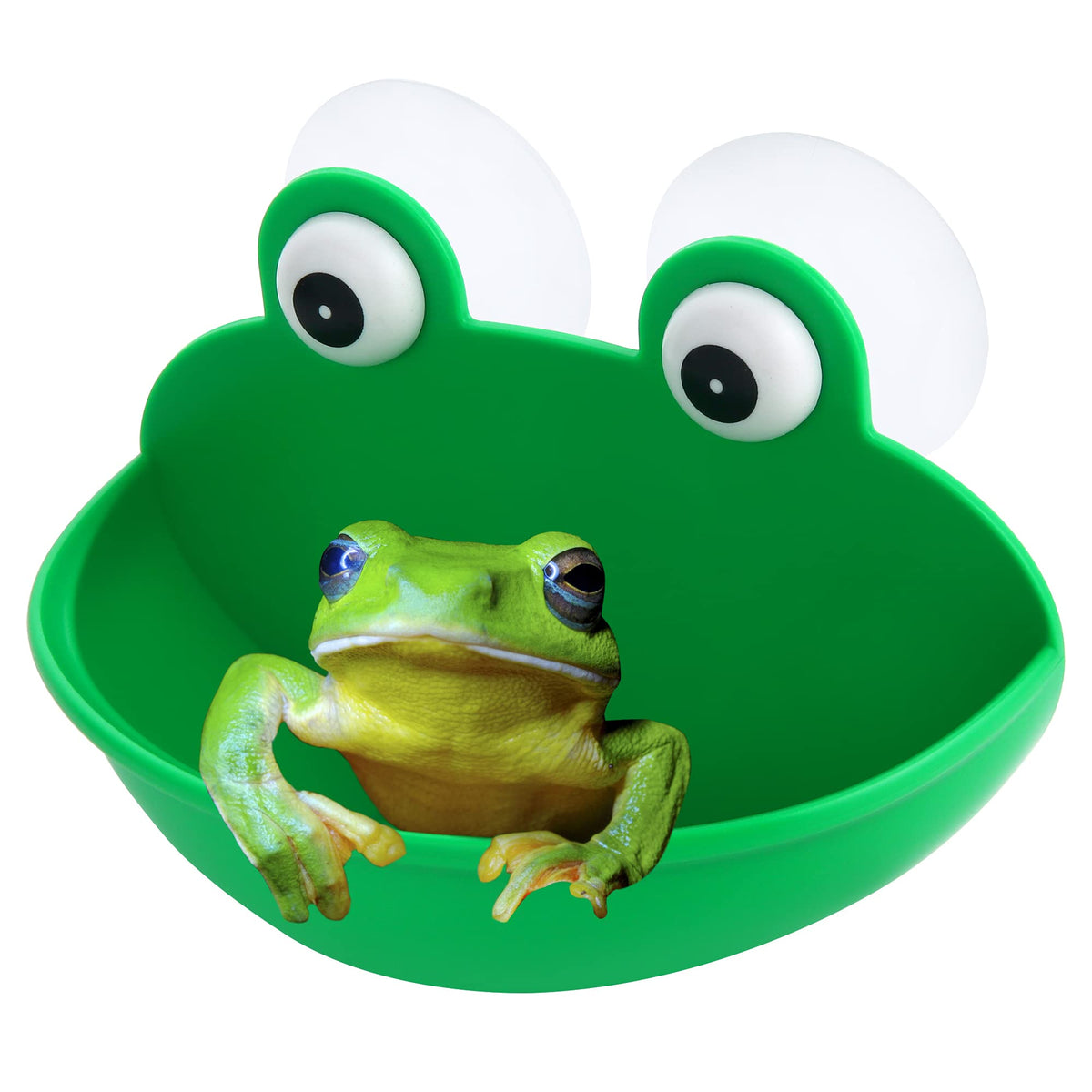 Pensino Frog Habitat Frog Dish Holder With Suction Cups, Cute Frog Terrarium Decor Fish Tank Decoration For Tree Frog Toad Tadpo